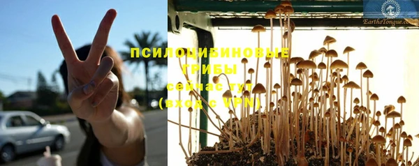 марки lsd Лихославль