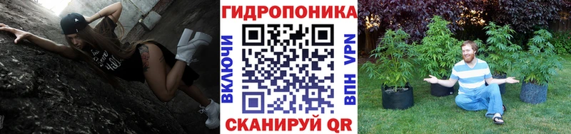 Бошки марихуана SATIVA & INDICA Калининград